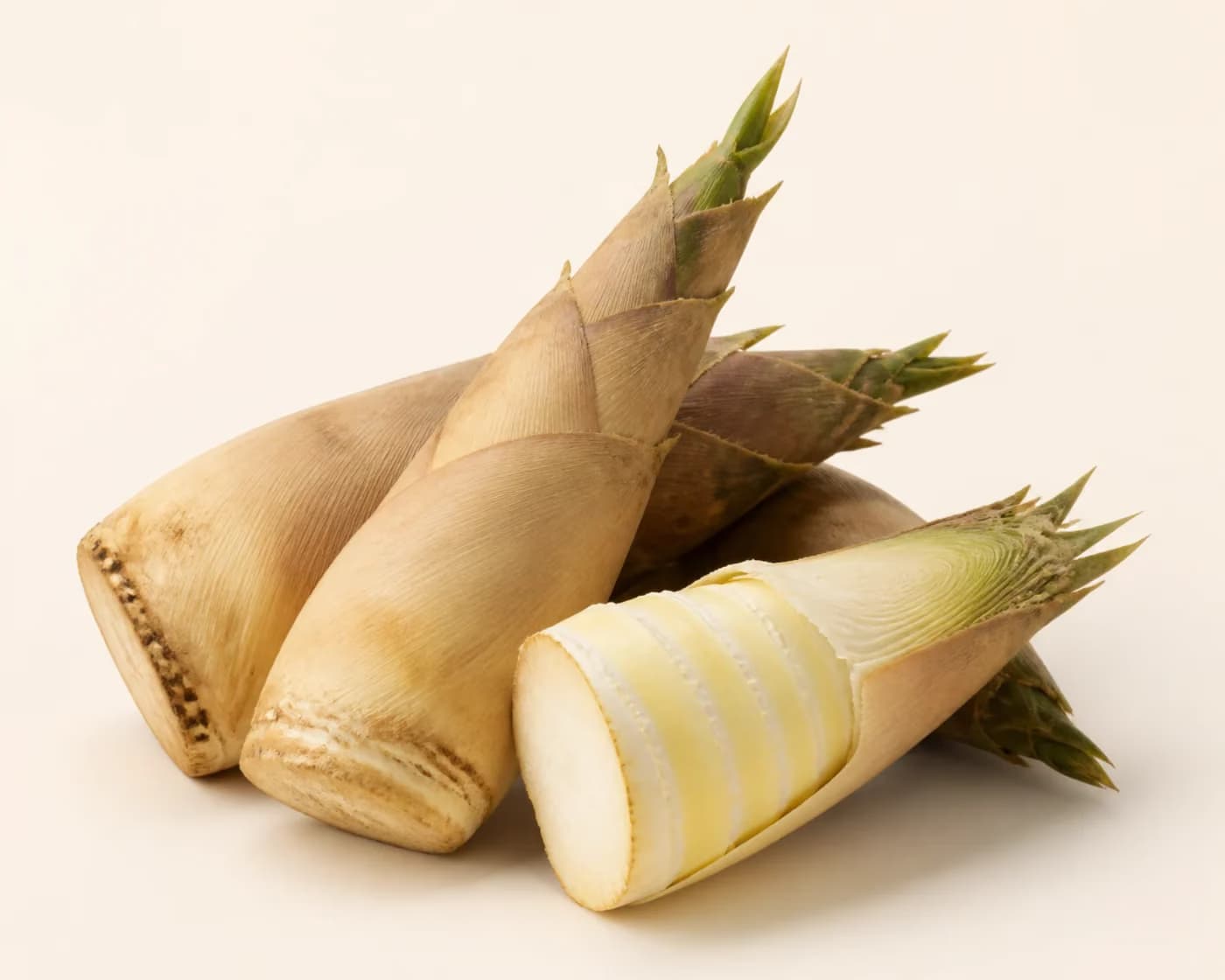 Fresh Fresh Bamboo Shoots arranged on a warm off-white surface.