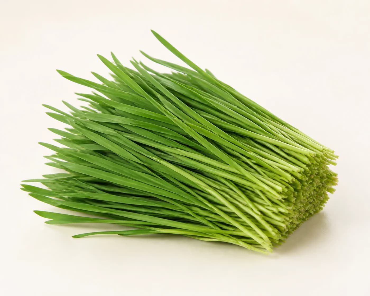 Fresh Wheatgrass arranged on a warm off-white surface.