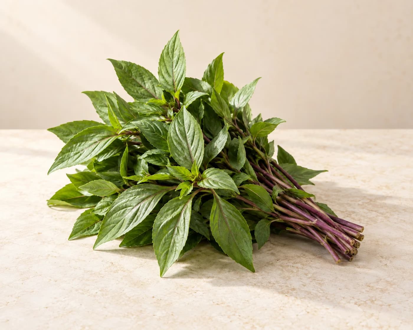Thai Sweet Basil — centered product view