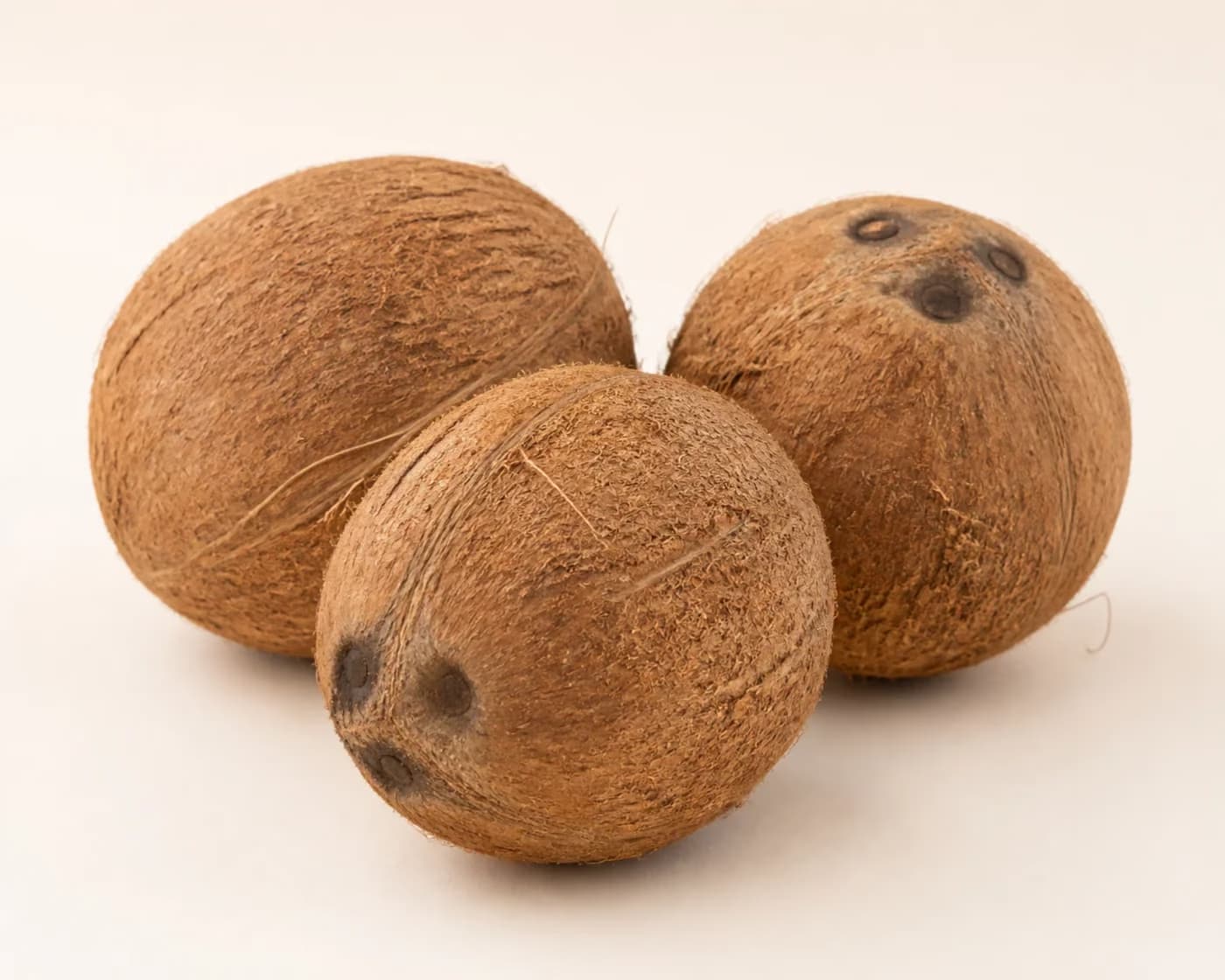 Fresh Mature Coconut arranged on a warm off-white surface.