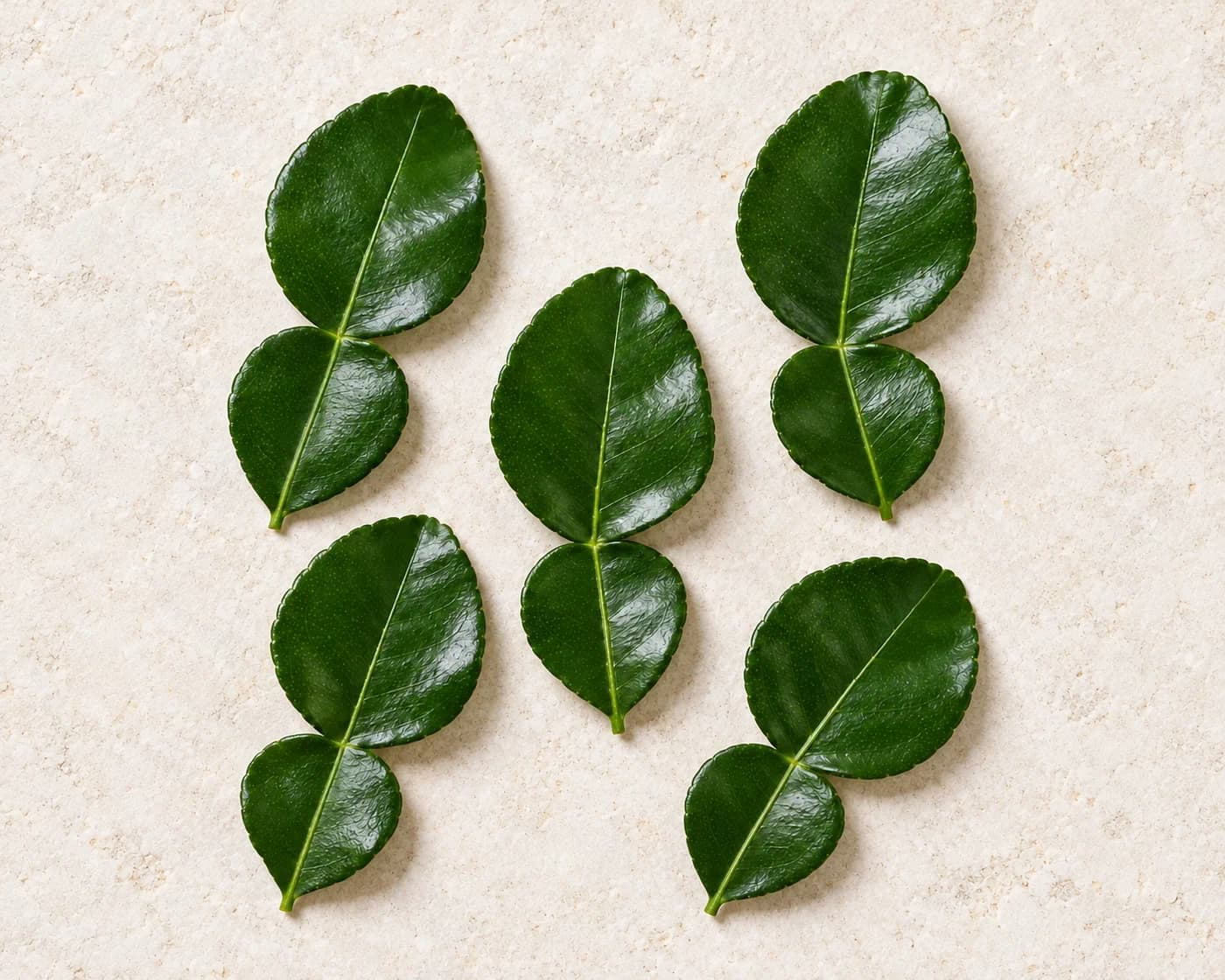 Kaffir Lemon Leaves — centered product view
