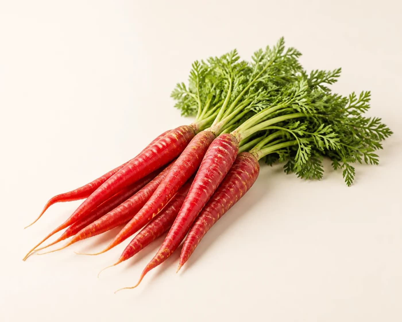 Fresh Red Carrot arranged on a warm off-white surface.