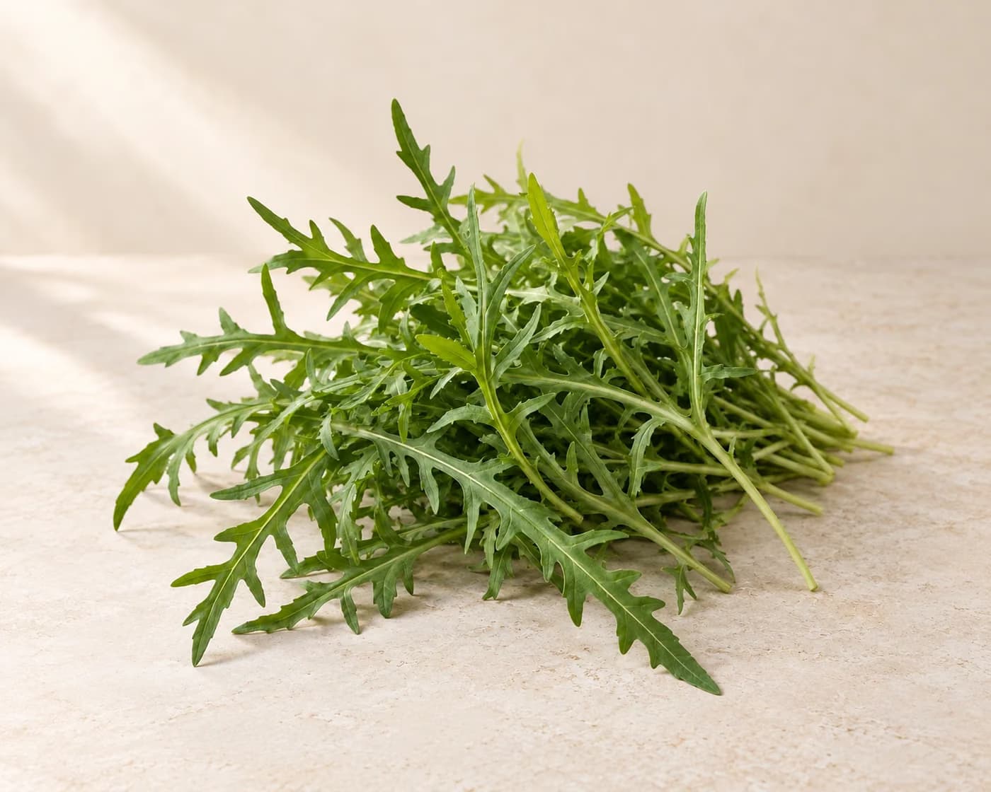 Wild Rocket Leaves — centered product view