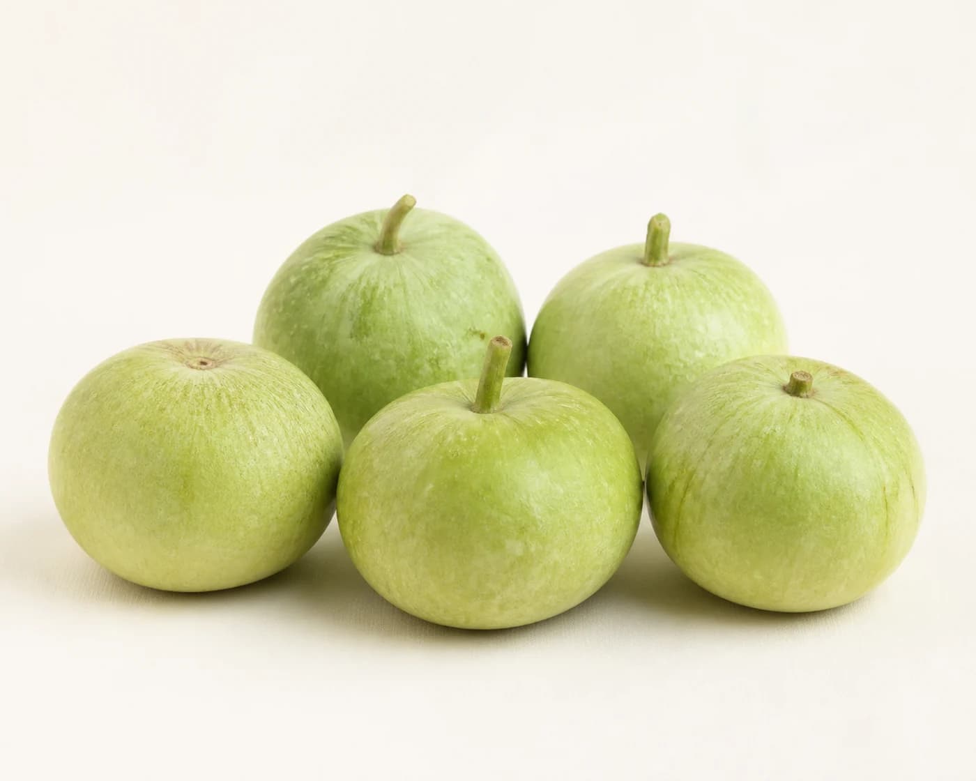 Apple Gourd — centered product view