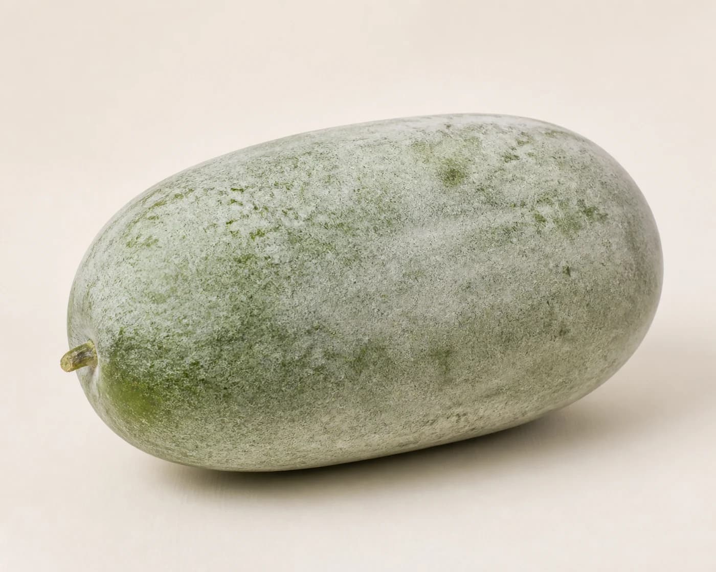 Ash Gourd — centered product view