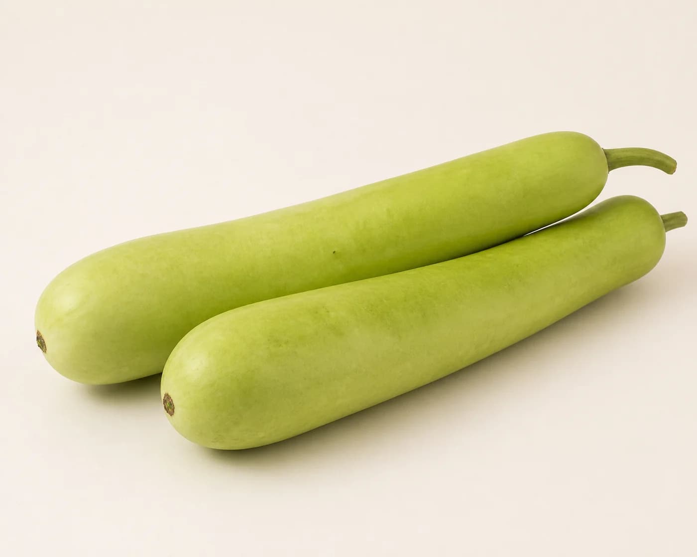 Bottle Gourd — centered product view