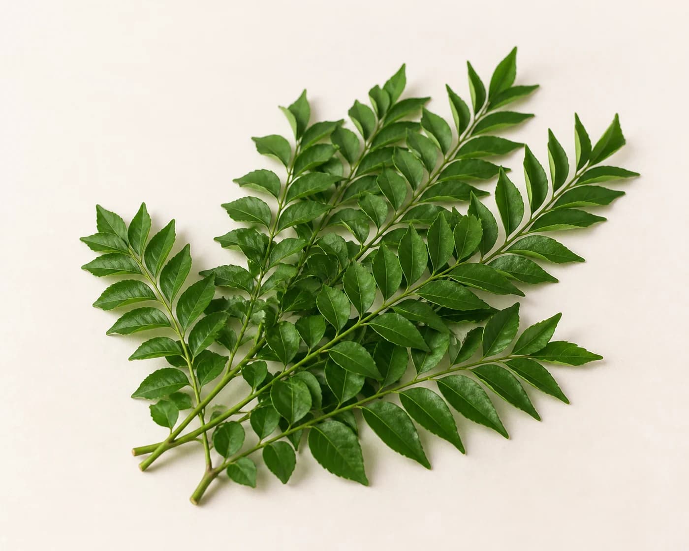 Curry Leaves — centered product view