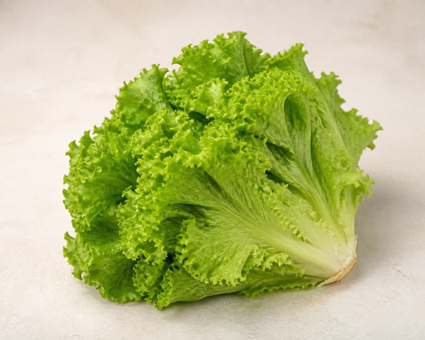 Green Leaf Lettuce — centered product view