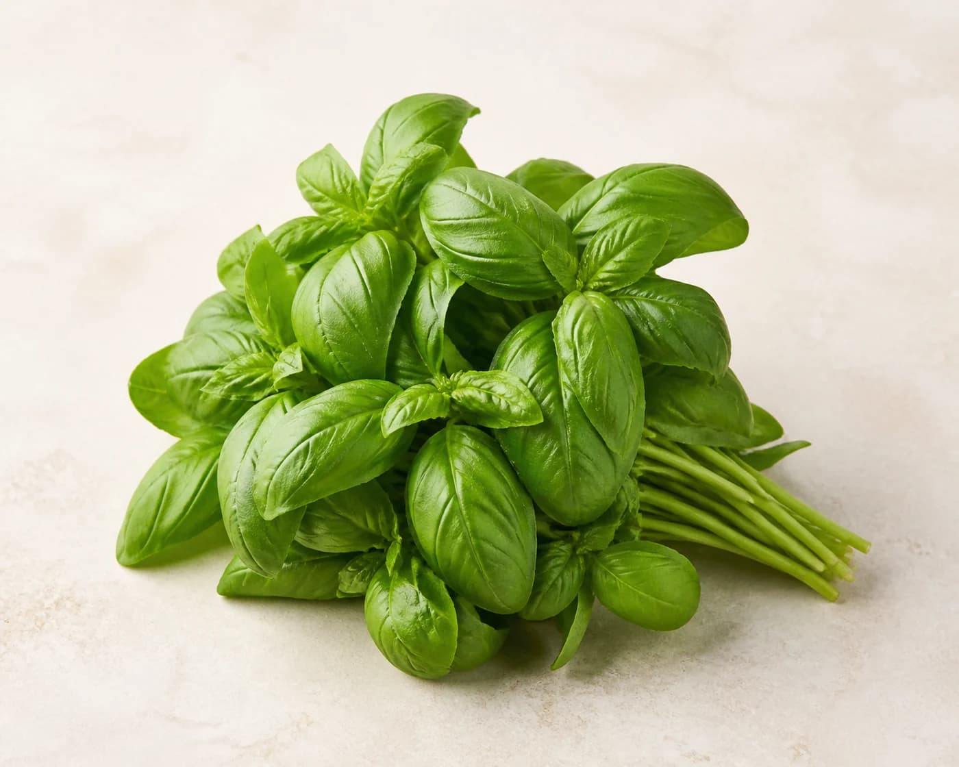 Italian Basil — centered product view