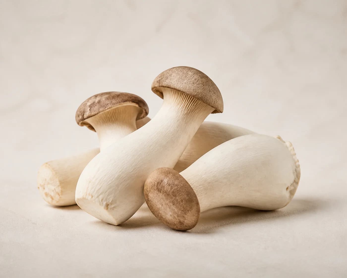 King Oyster Mushroom — centered product view