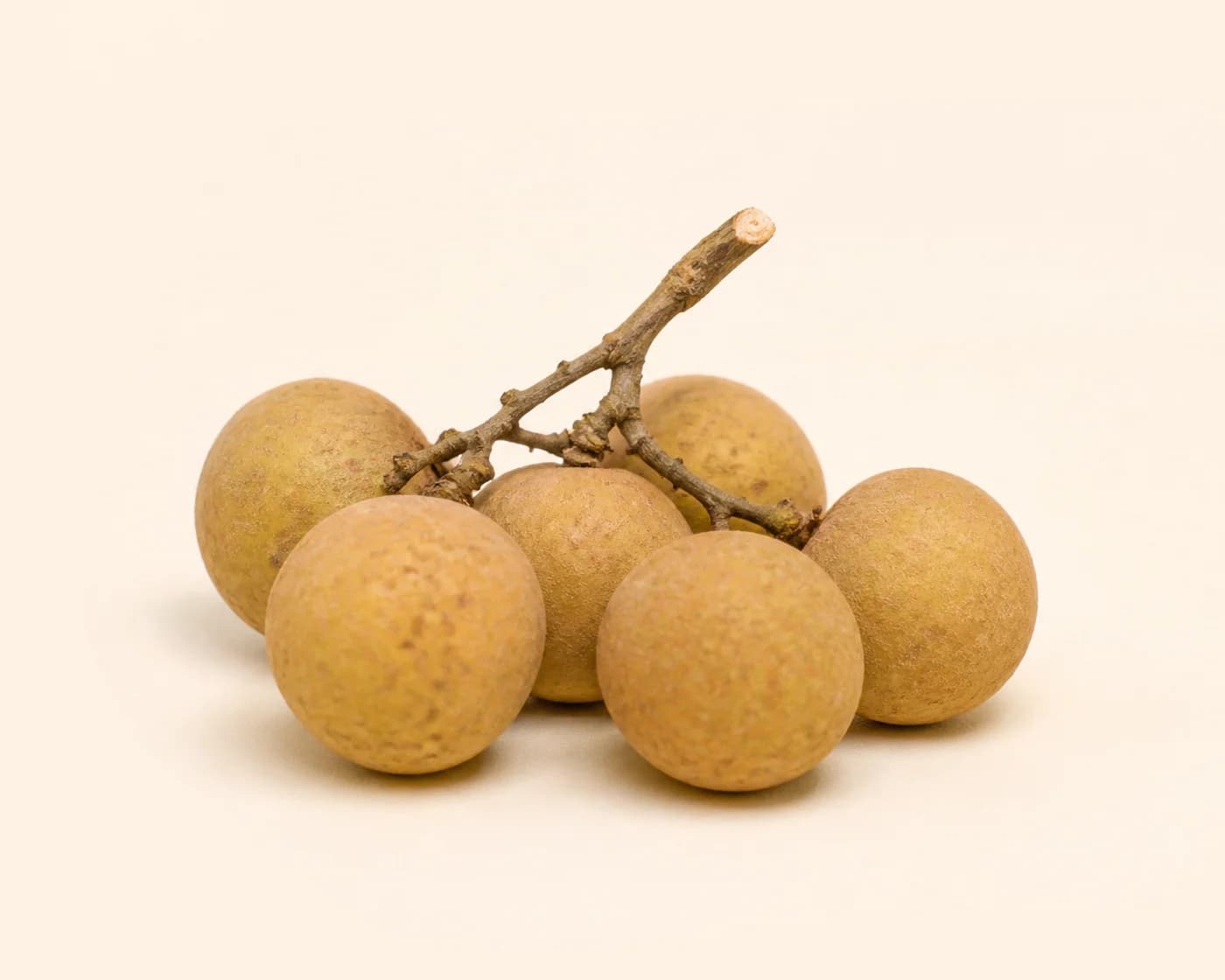 Longan — centered product view