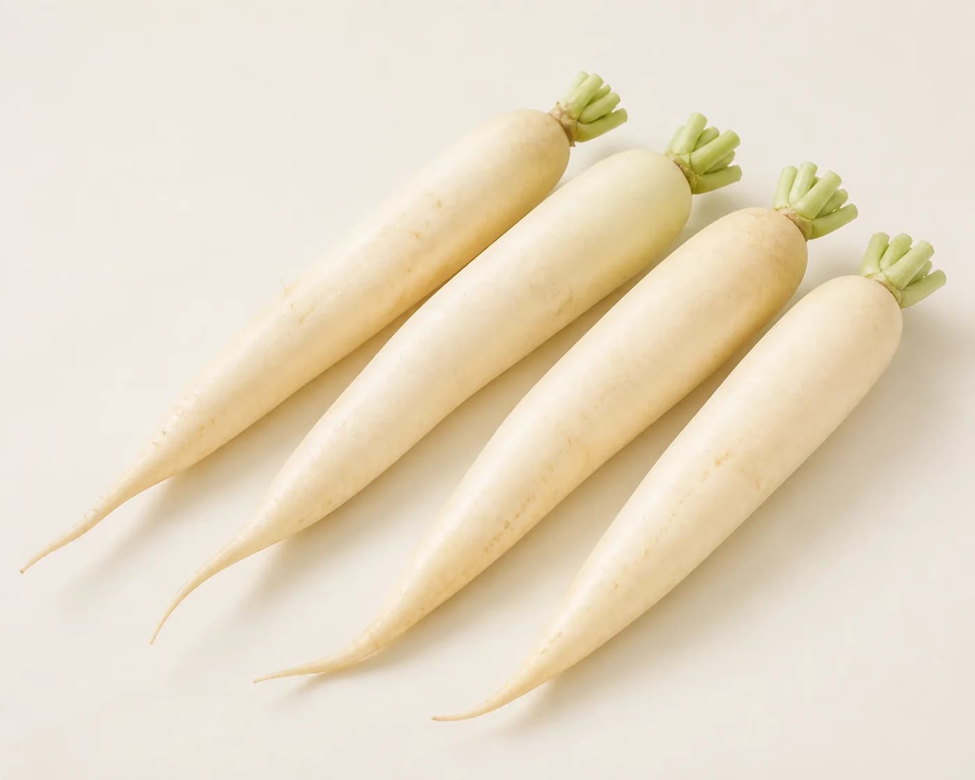 Radish — centered product view