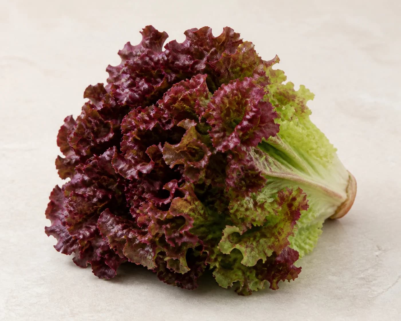 Red Leaf Lettuce — centered product view