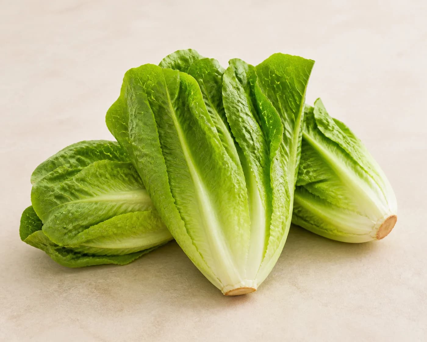 Romaine Lettuce — centered product view