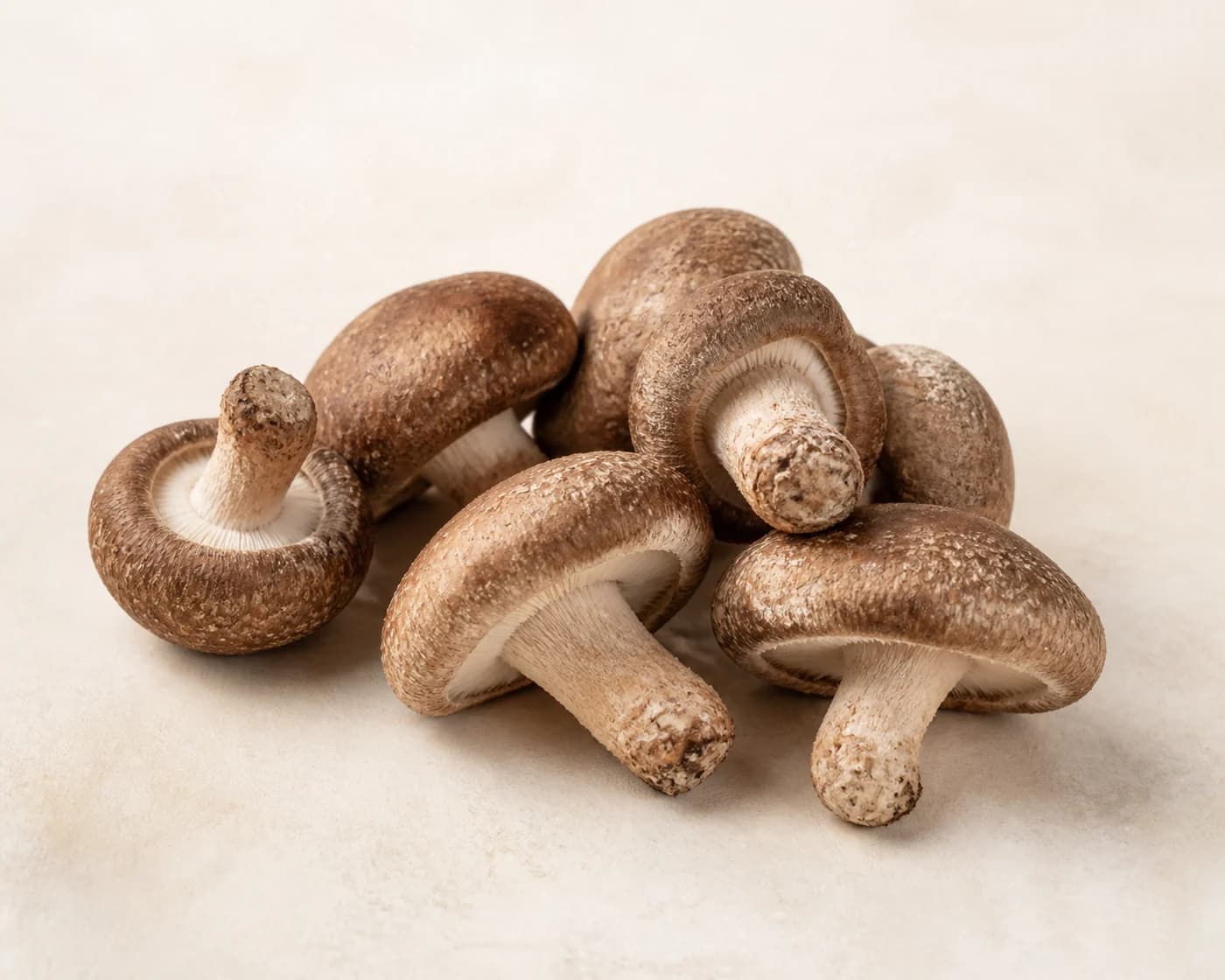 Shiitake Mushroom — centered product view