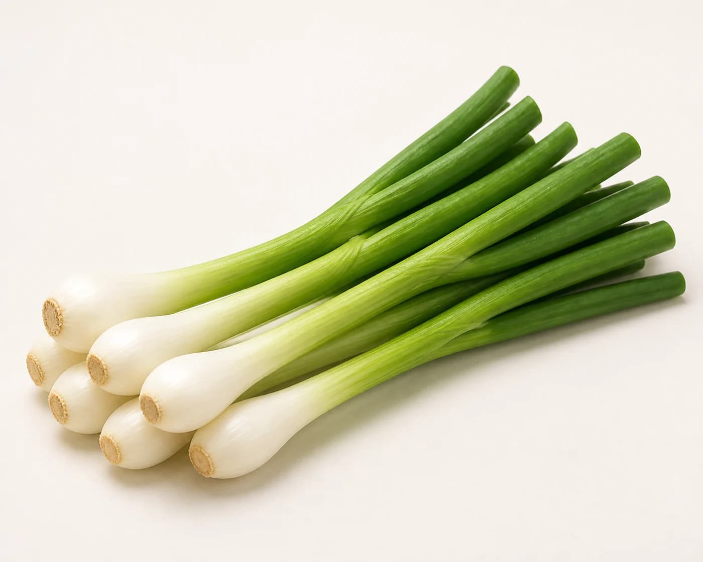 Spring Onion — centered product view