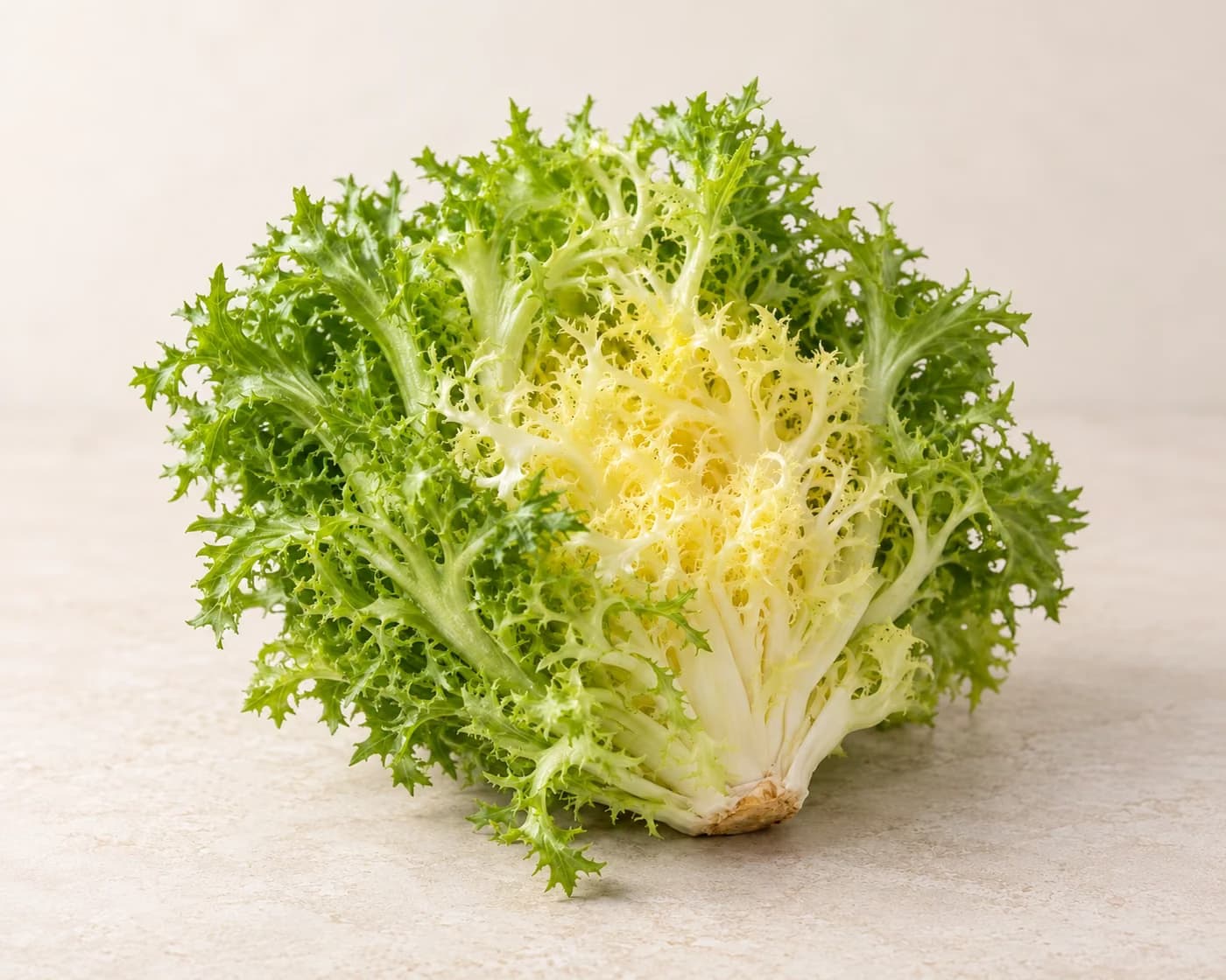 Endives — centered product view