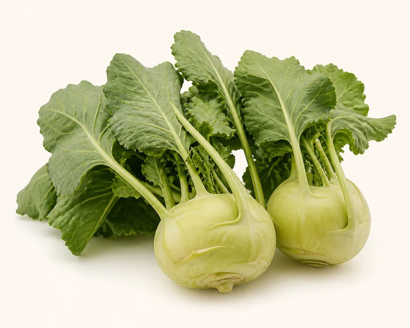 Fresh Kohlrabi arranged on a warm off-white surface.