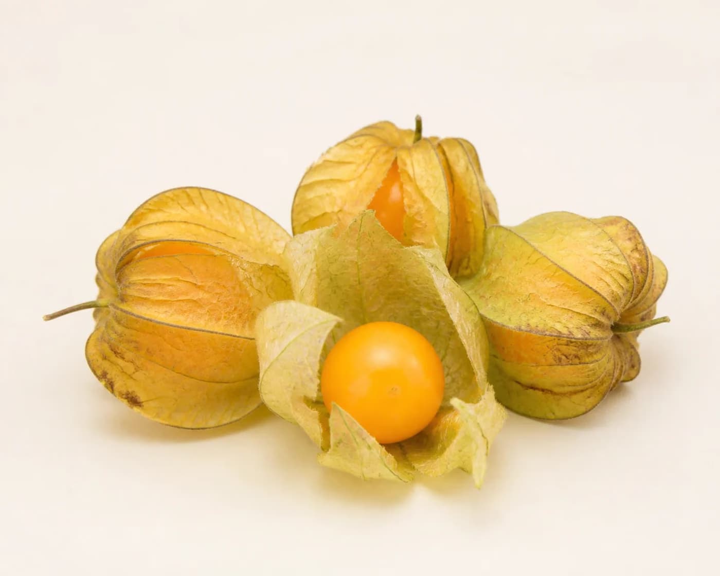 Fresh Cape Gooseberry arranged on a warm off-white surface.