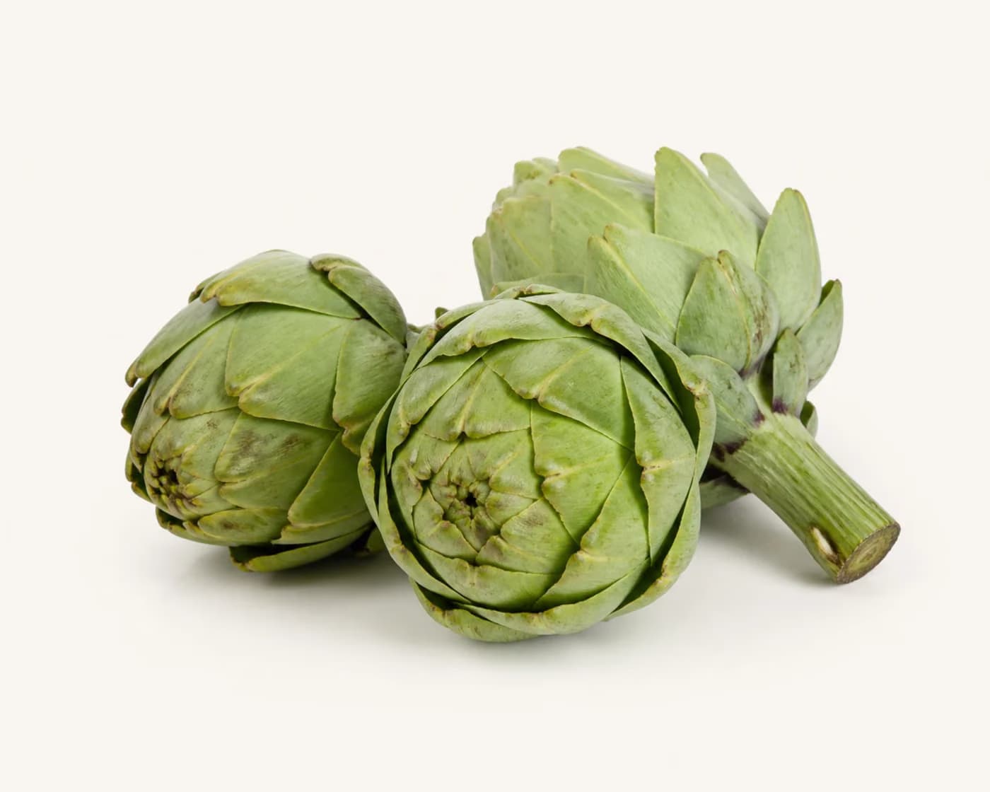 Fresh Artichoke arranged on a warm off-white surface.