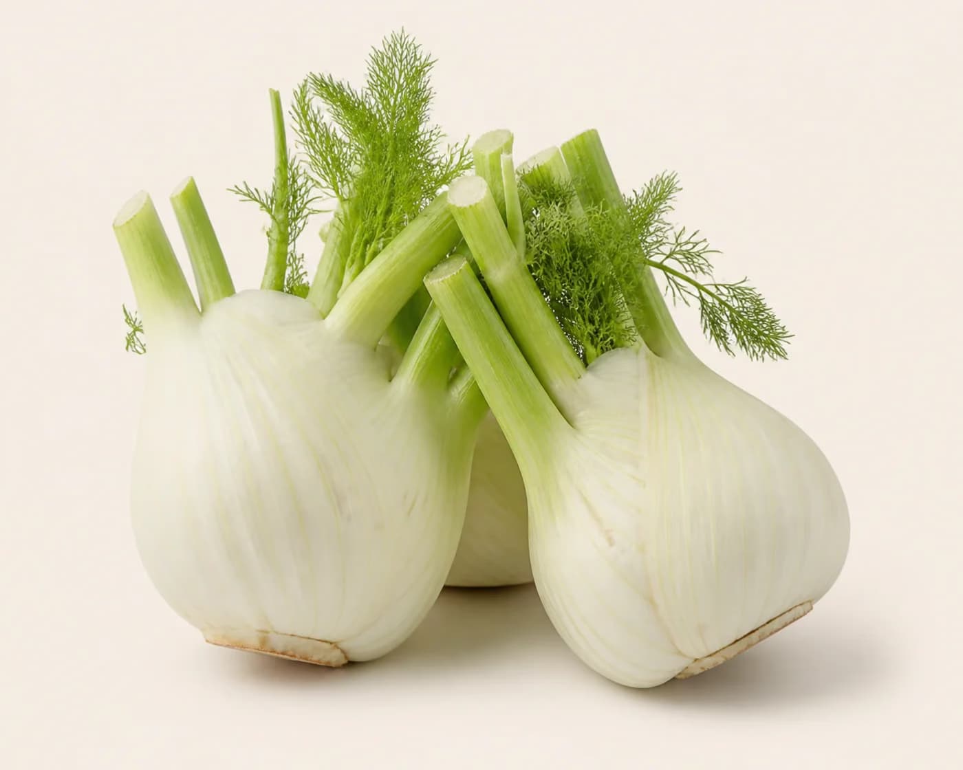 Fresh Fennel Bulb arranged on a warm off-white surface.