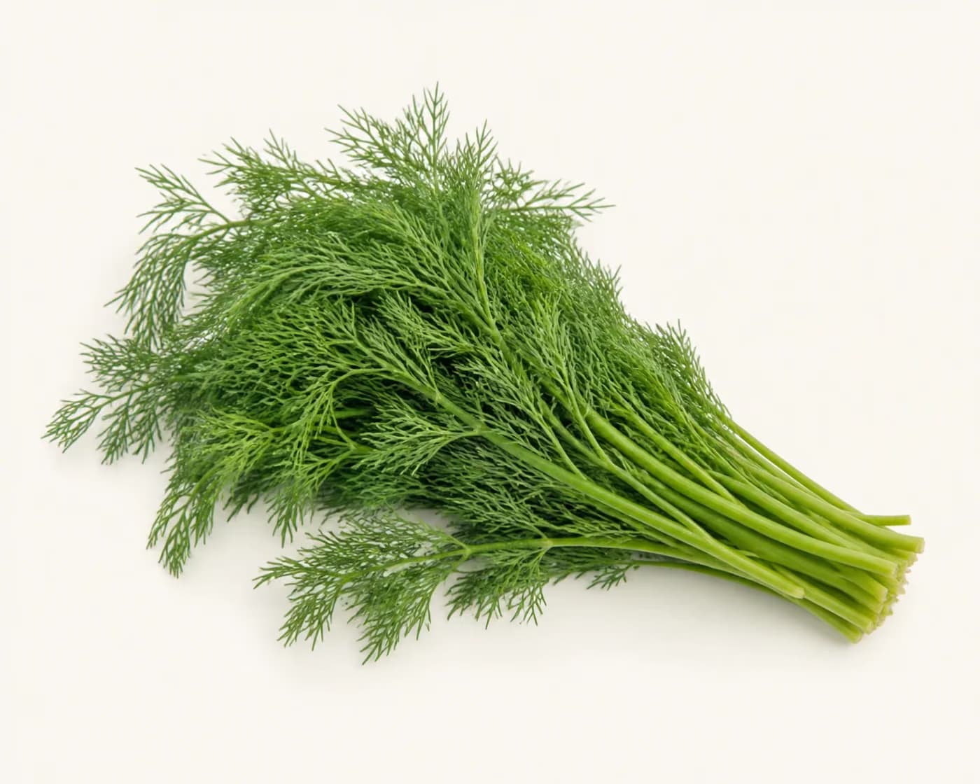 Fresh Dill arranged on a warm off-white surface.