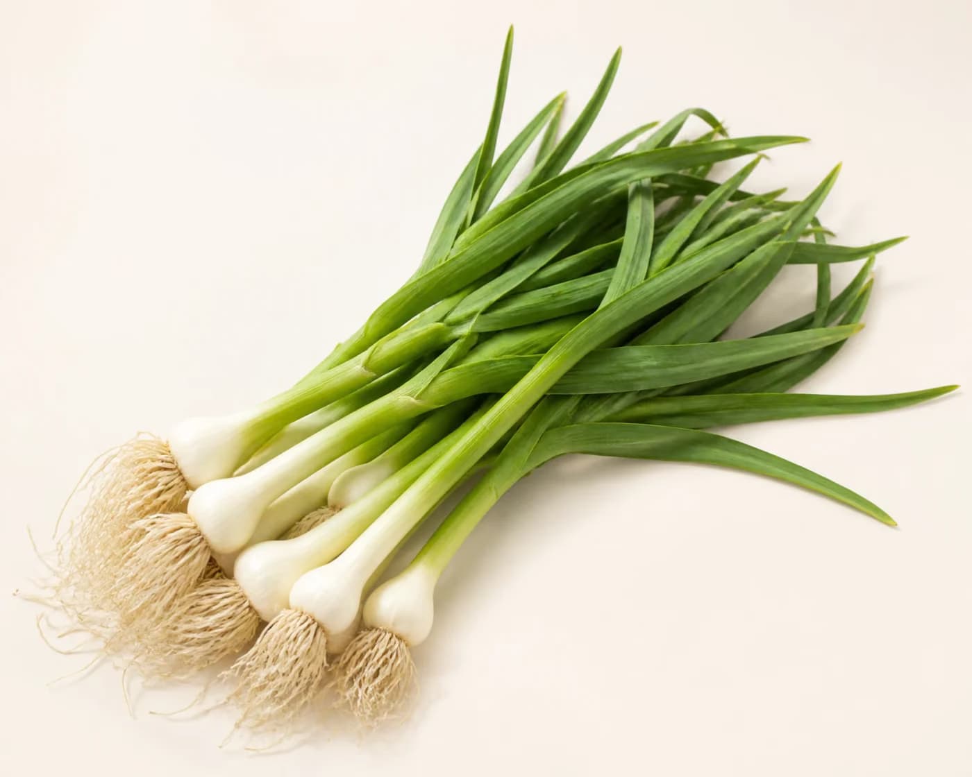 Fresh Green Garlic arranged on a warm off-white surface.