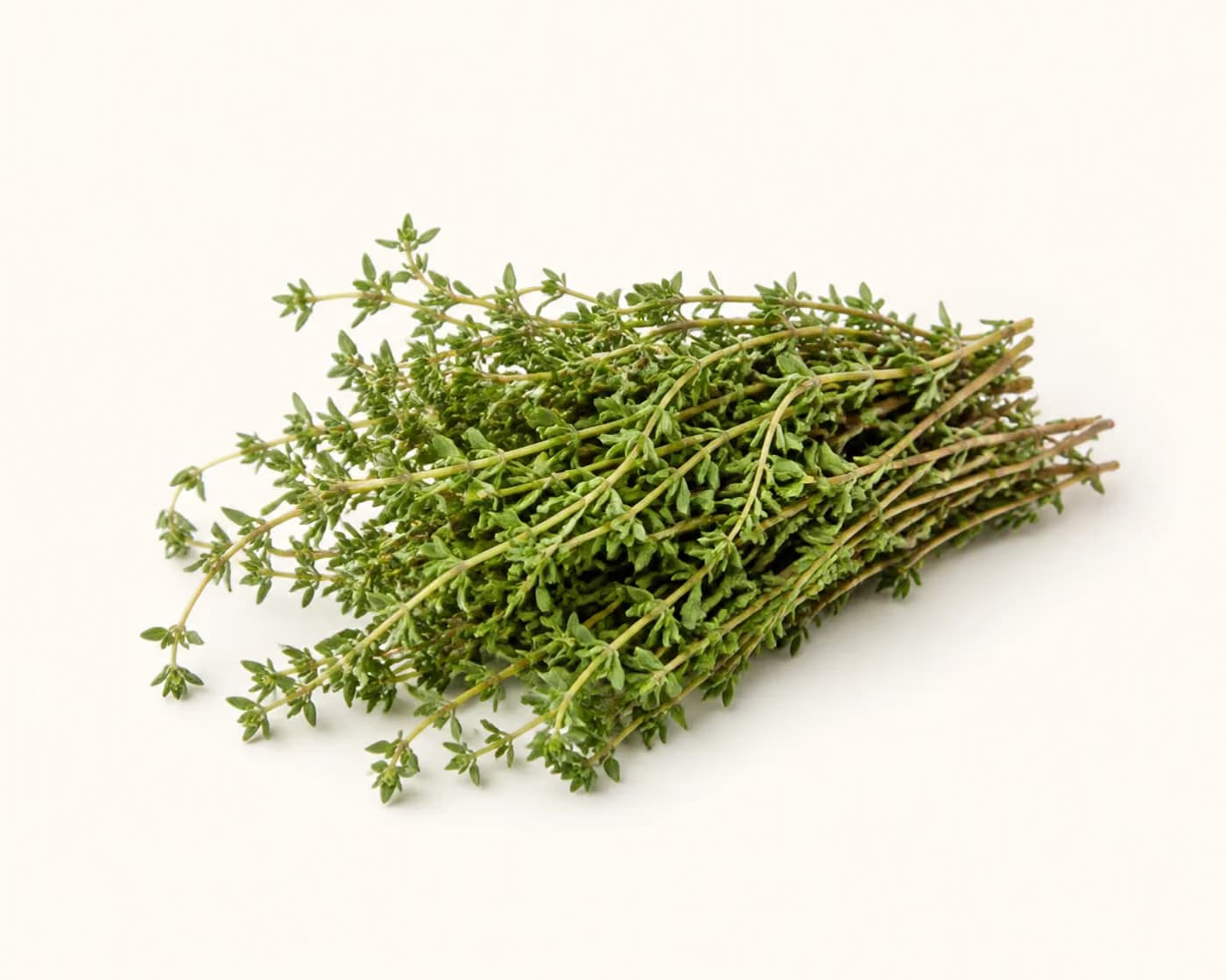 Fresh Thyme arranged on a warm off-white surface.