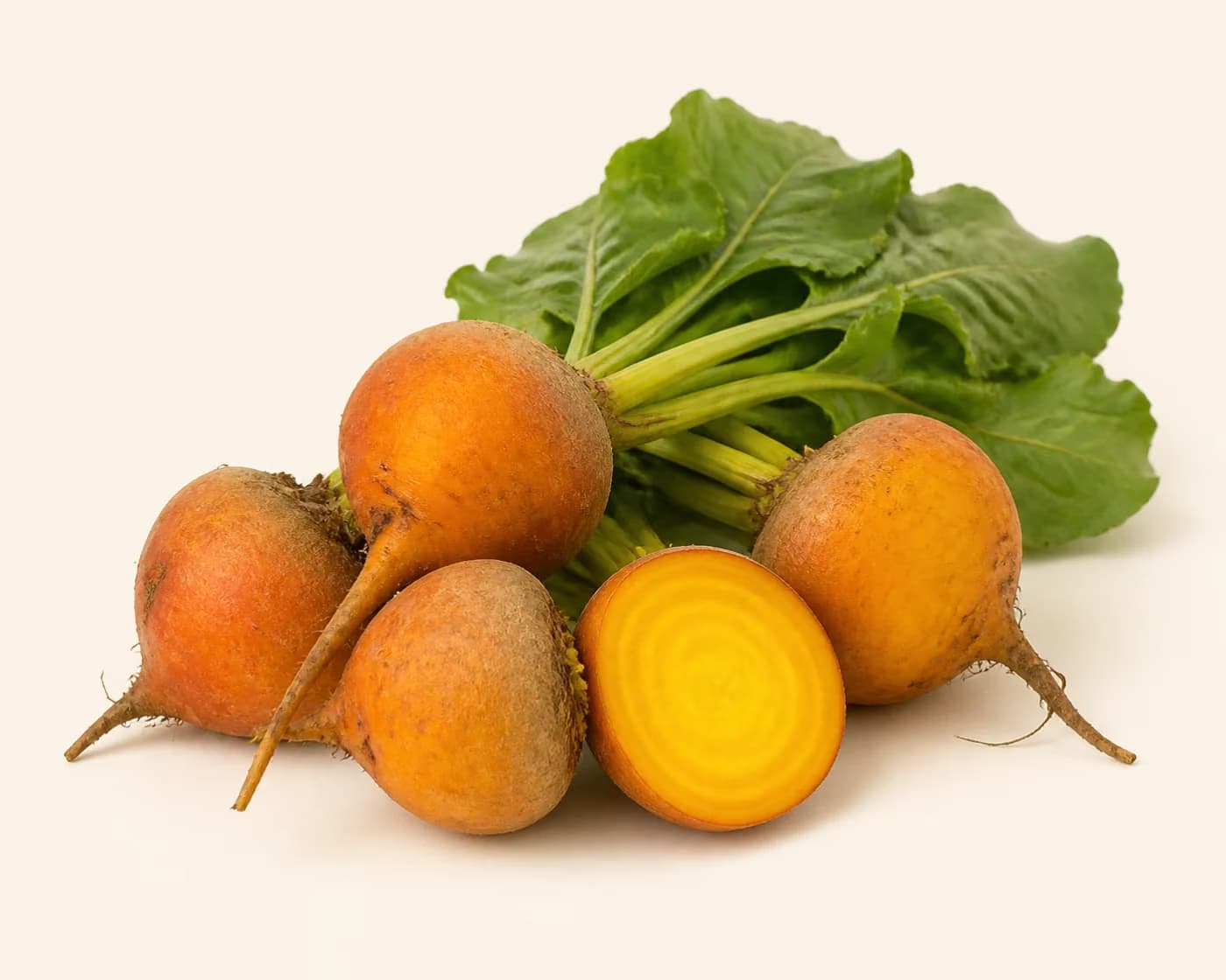 Fresh Golden Beetroot arranged on a warm off-white surface.