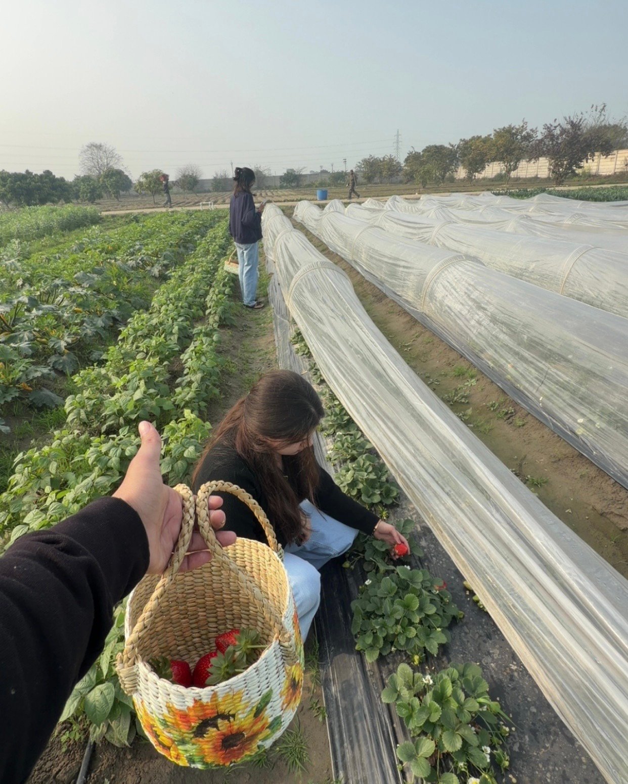 CjUKMVNuYXBjaGF0LzEzLjc2LjEuMCAoaVBob25lMTgsMTsgaU9TIDI2LjAuMTsgZ3ppcCkgAg==